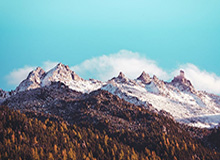 狼群再添一员：qiutiaN 加盟狼队电竞